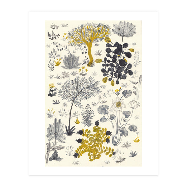 Genesis (Print Only)