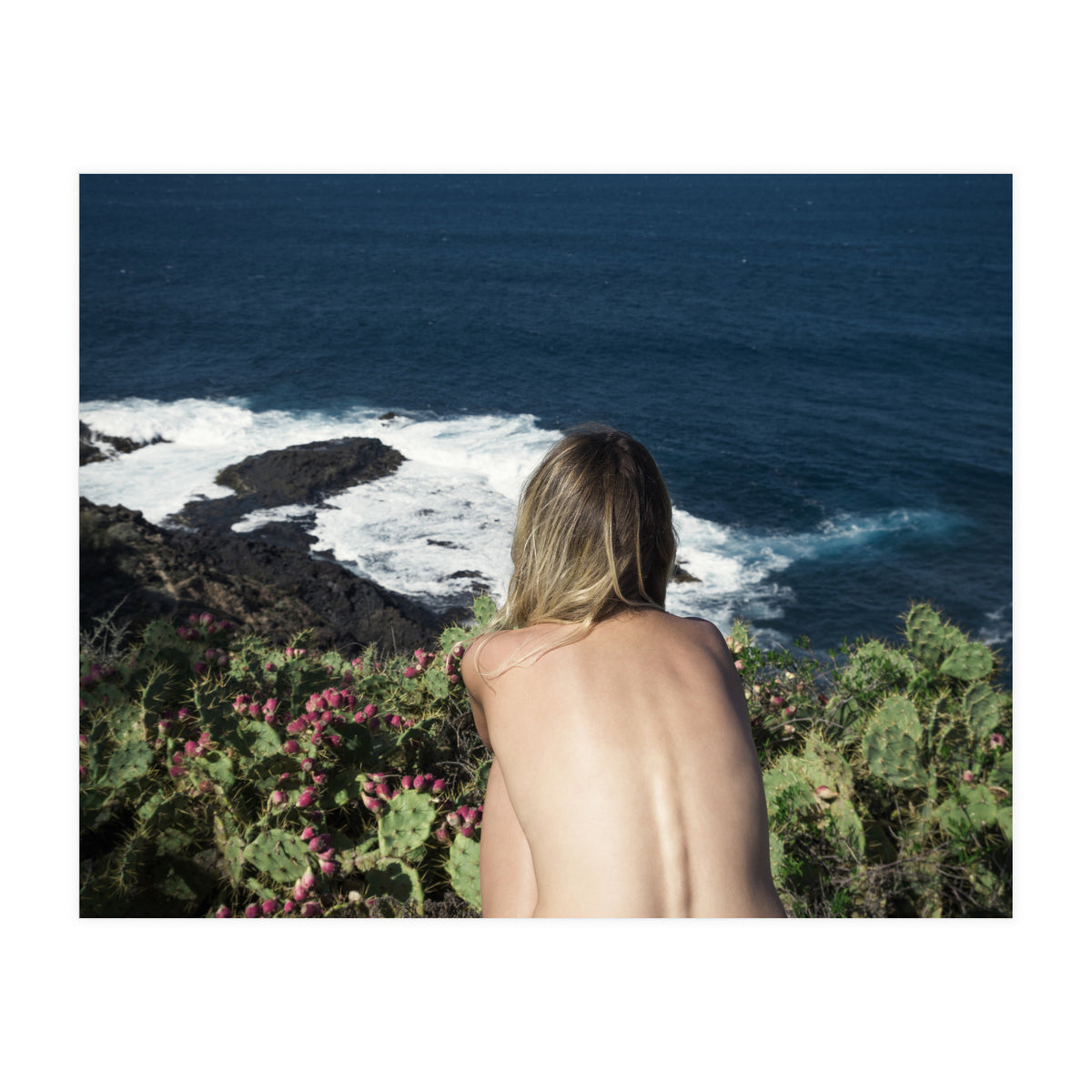 Delight (Print Only)