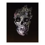 Metamorphosis  (Print Only) thumbnail