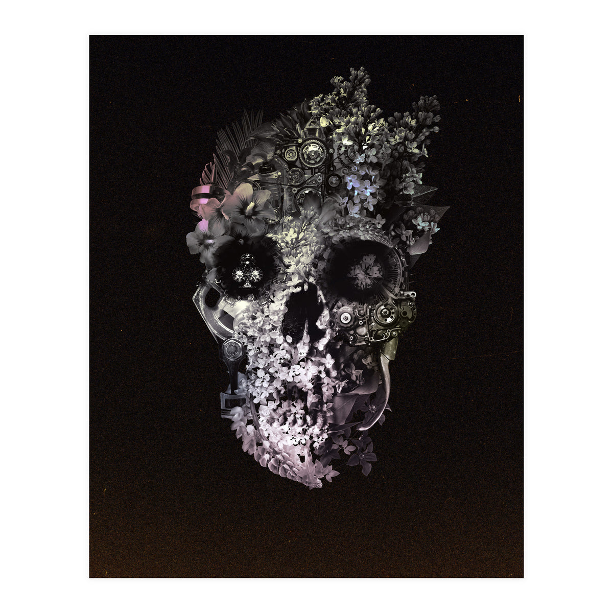 Metamorphosis  (Print Only)