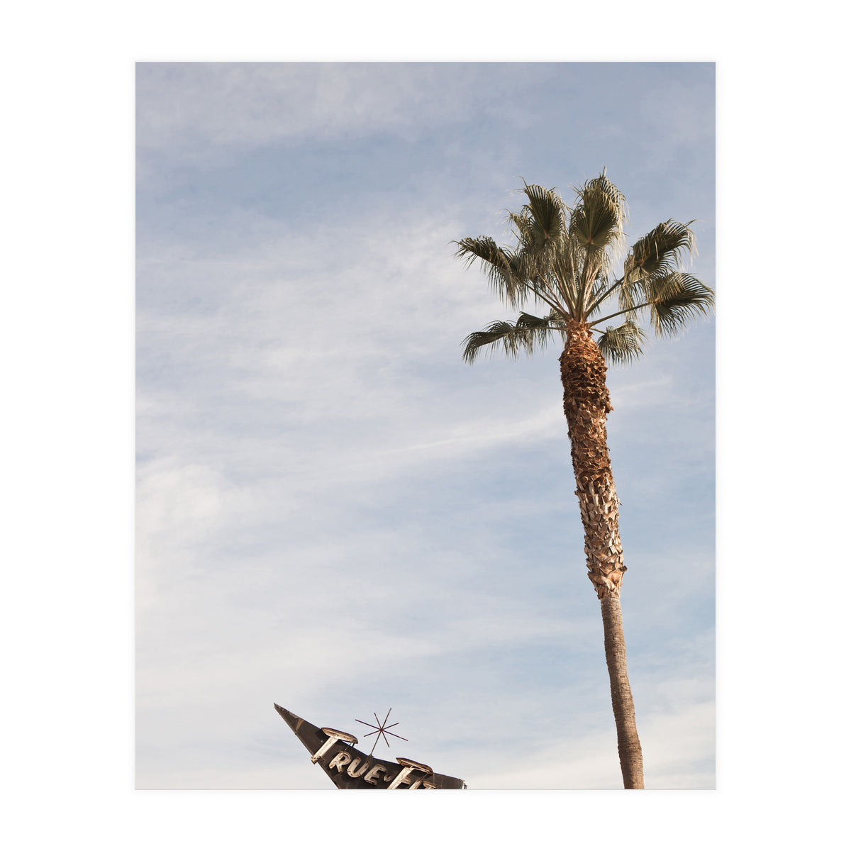 True Fit (Print Only)