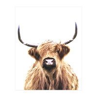 Highland Cow Portrait (Print Only)