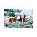 Unicorn Deer (Print Only) thumbnail