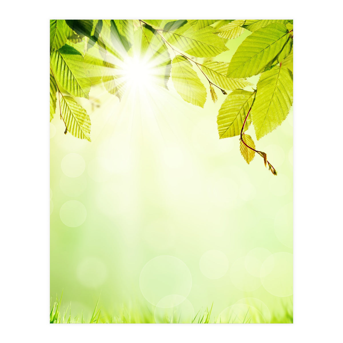 GREEN NATURE (Print Only)