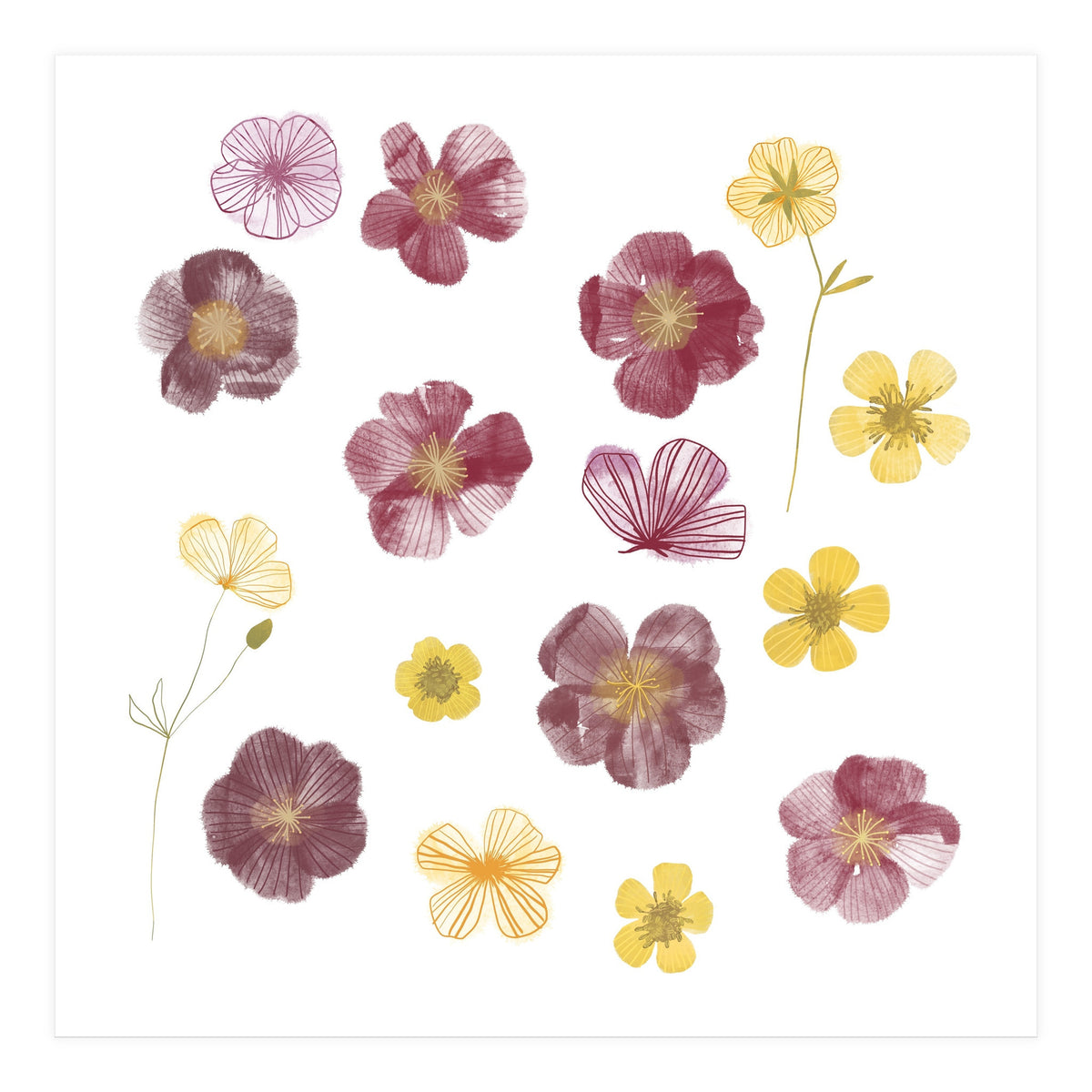 Pressed Flowers (Print Only)