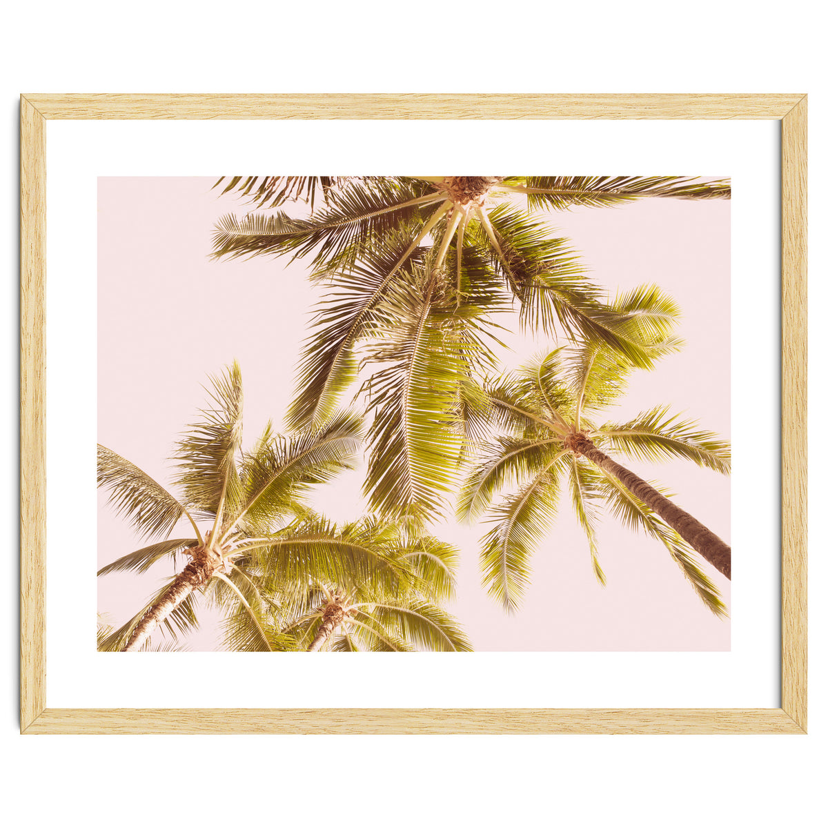 Blush Pink Boho Palm Trees