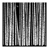 See the Forest... (Print Only) thumbnail