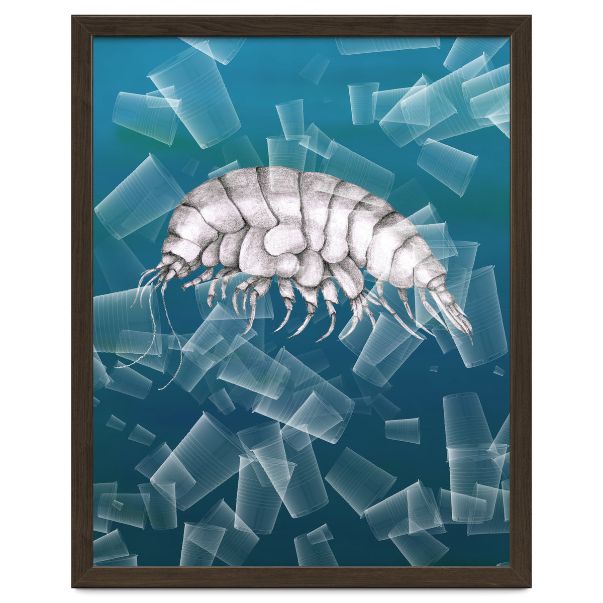 Eurythenes Plasticus