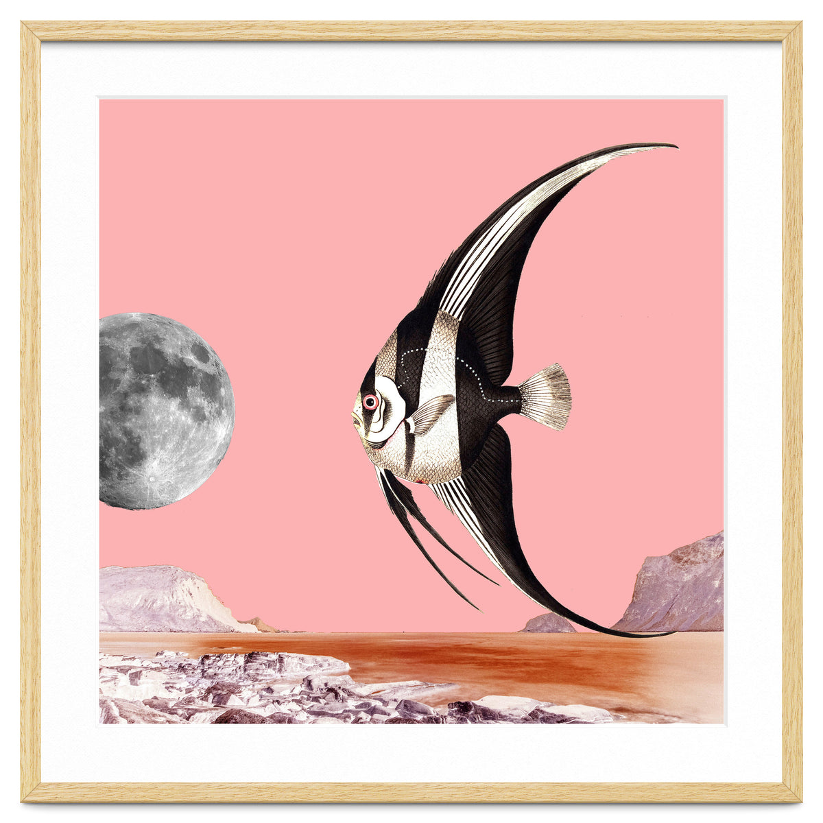 Plenty Of Fish In The Sea Pink