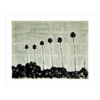 Six Palm Trees . (Print Only)