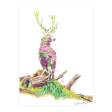 Floral May Stag (Print Only) thumbnail