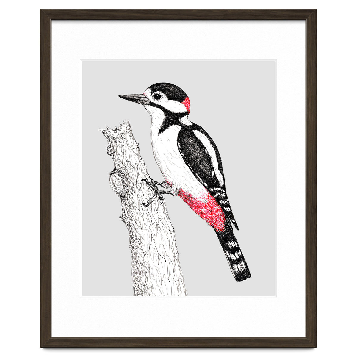 Great spotted woodpecker