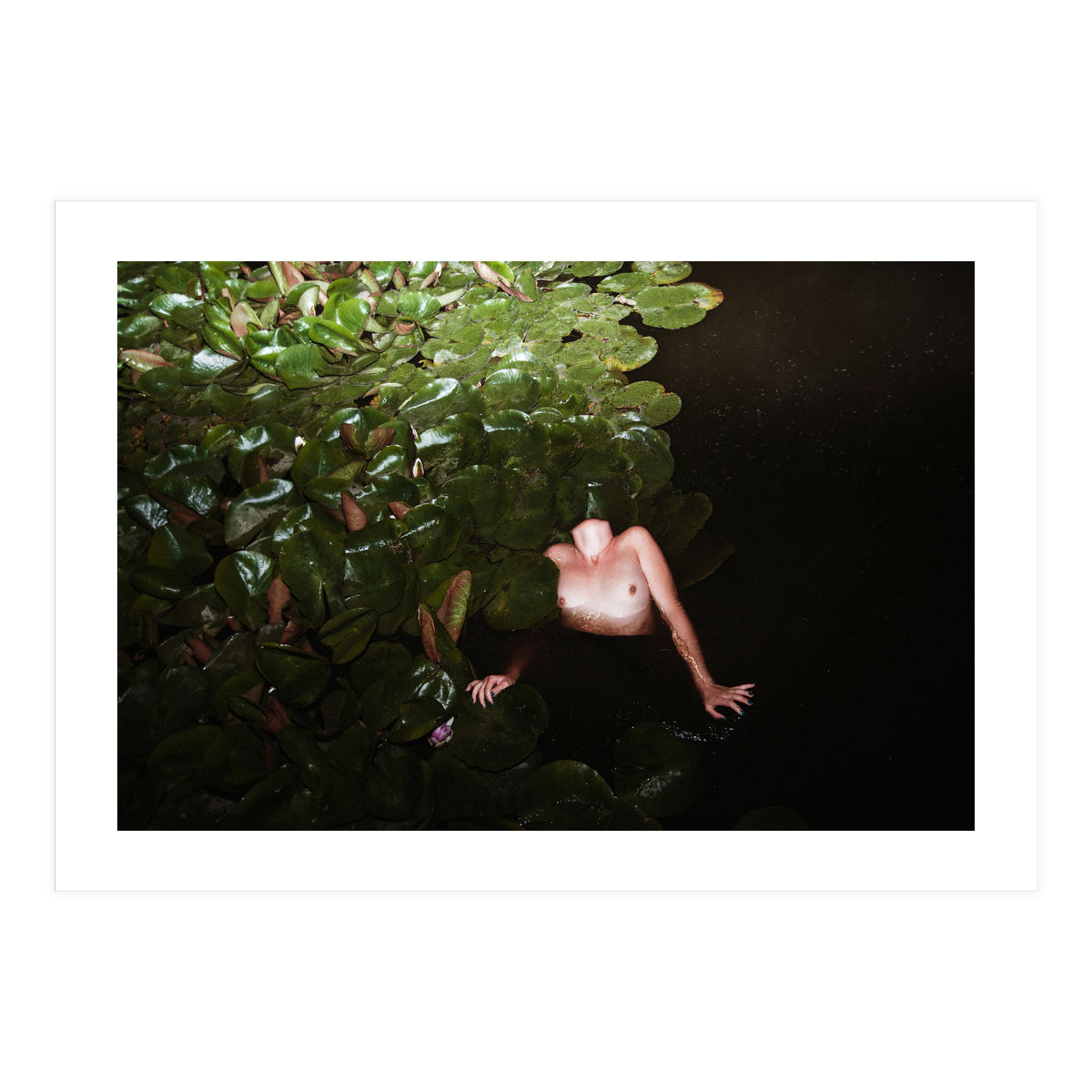 This is Not what You think it Is (Print Only)