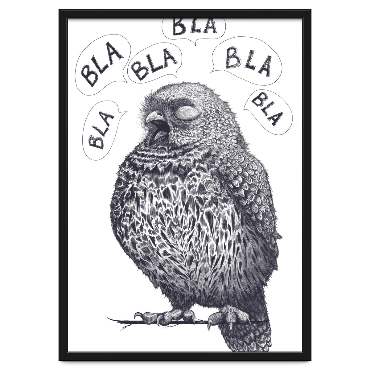 Owl Bla Bla Bla