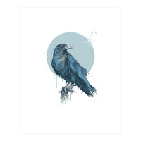 Blue Crow (Print Only)