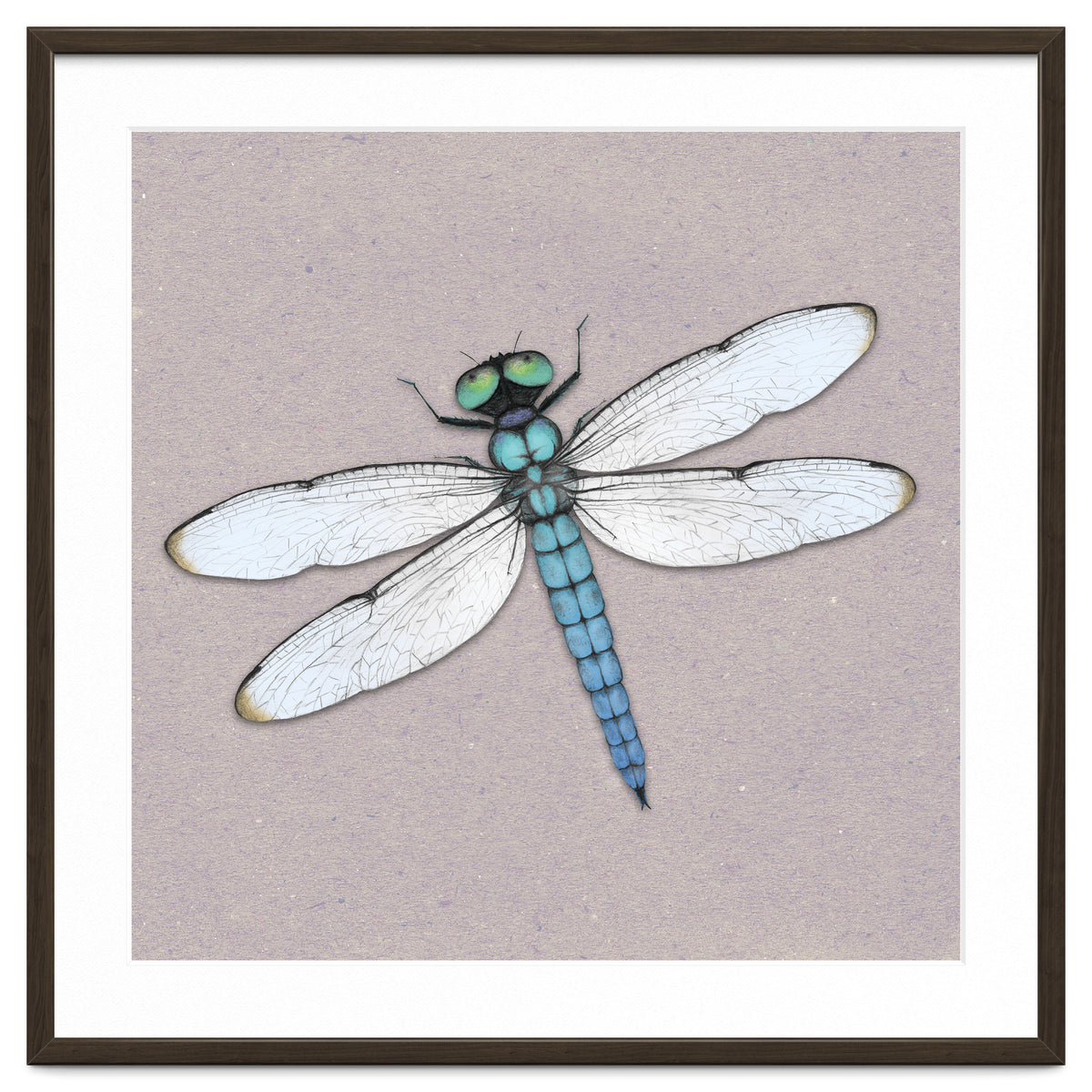 Blue dragonfly