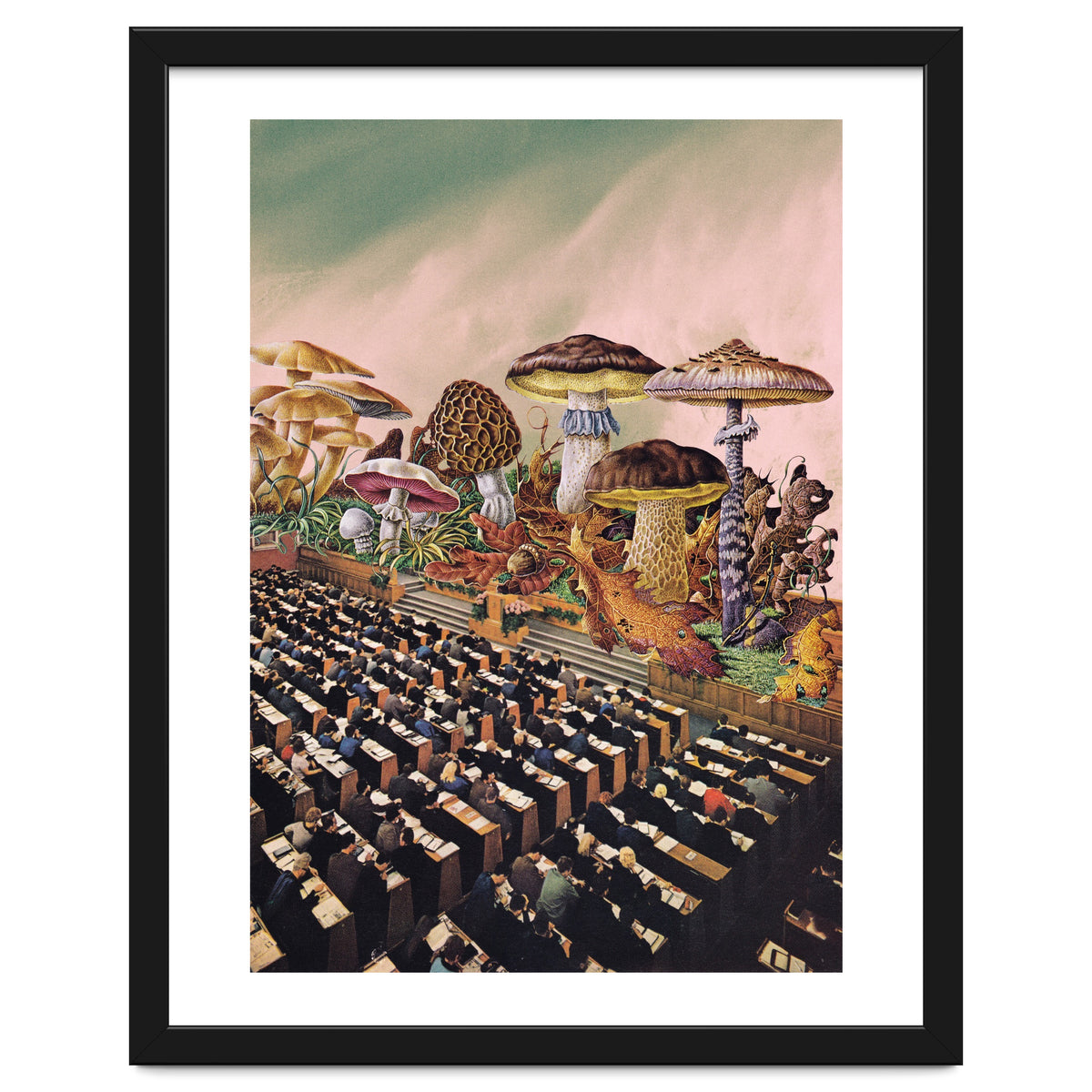 Psychedelic Experience