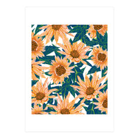 Blush Sunflowers (Print Only)