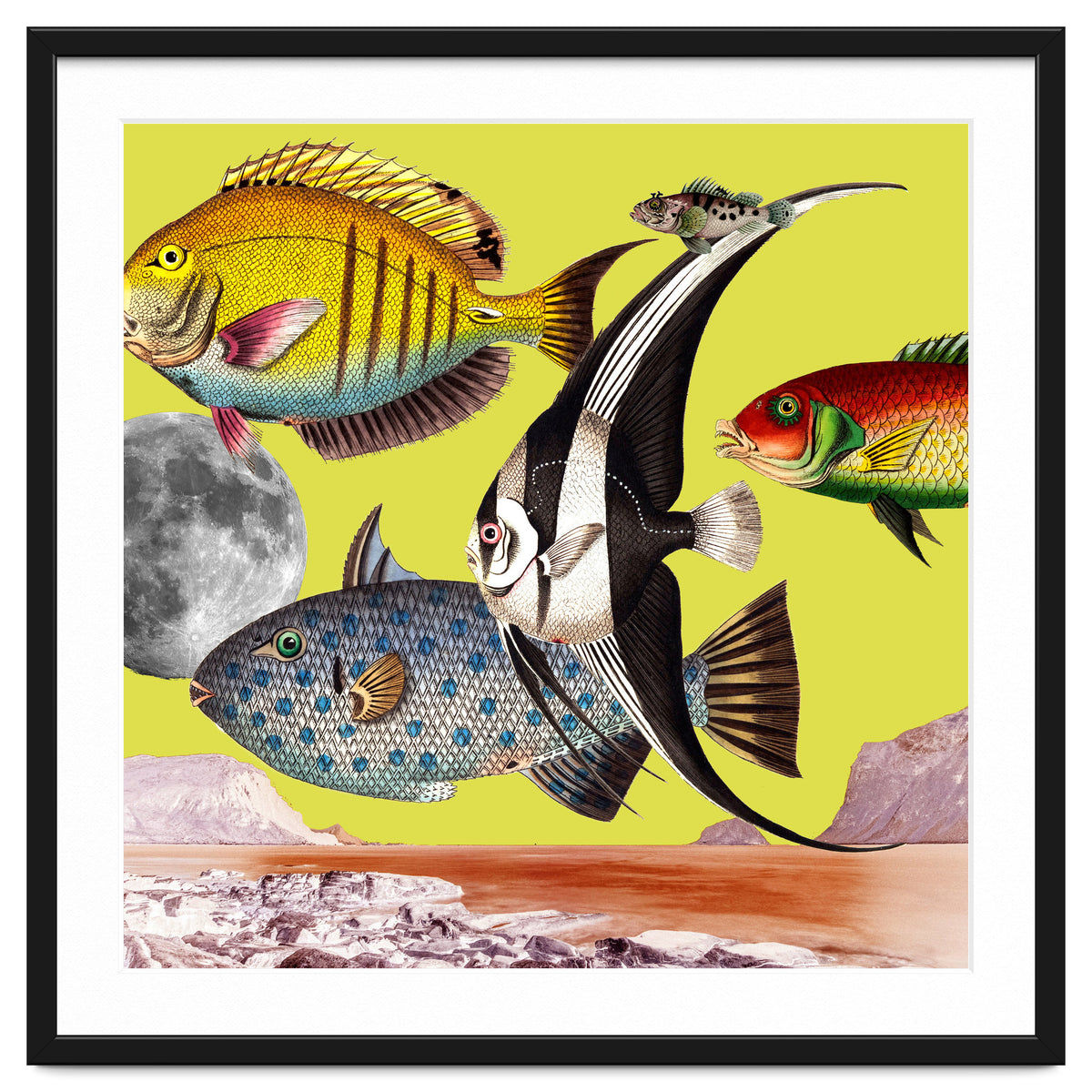 Plenty Of Fish In The Sea Yellow