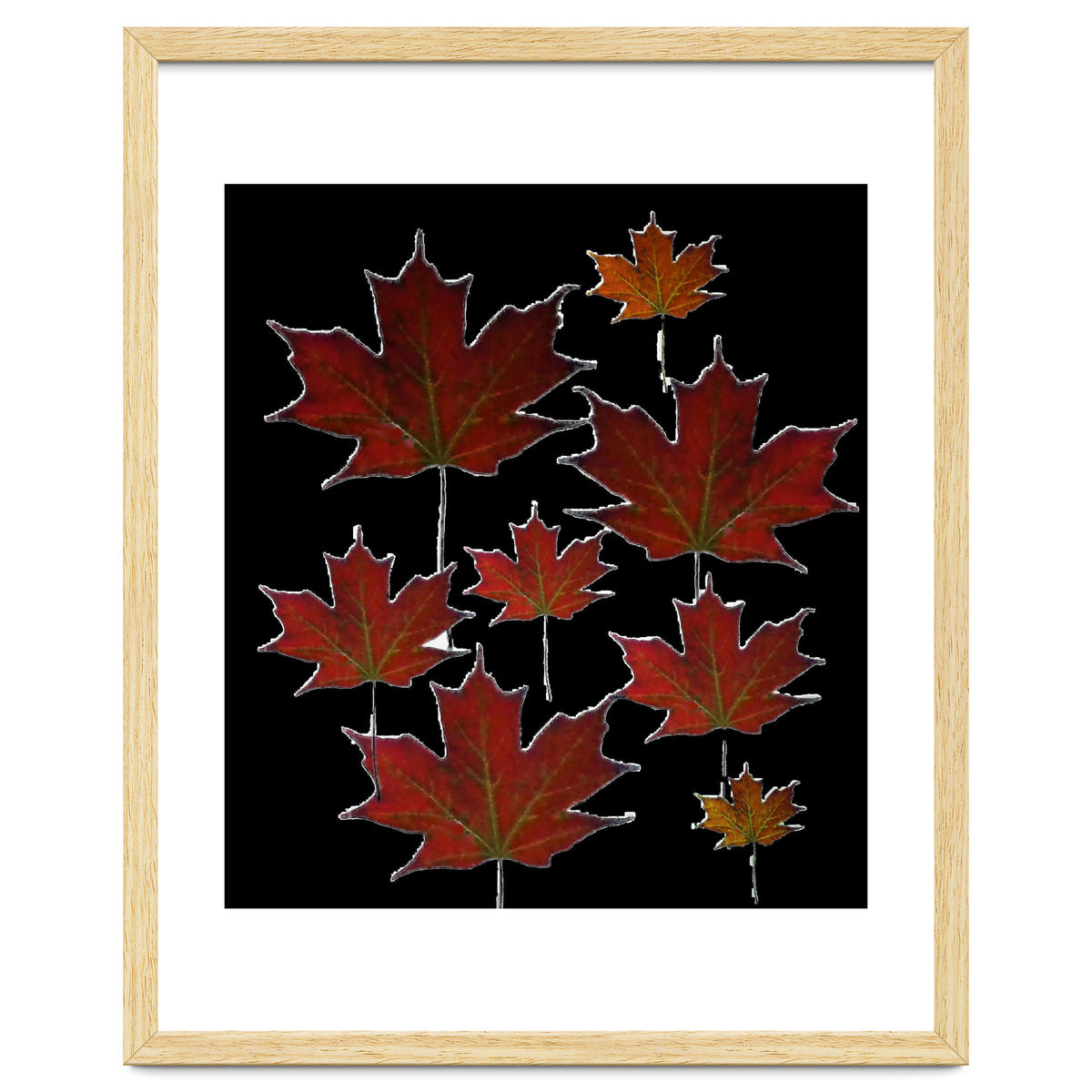 Red Autumn Leaves on Black Ground.