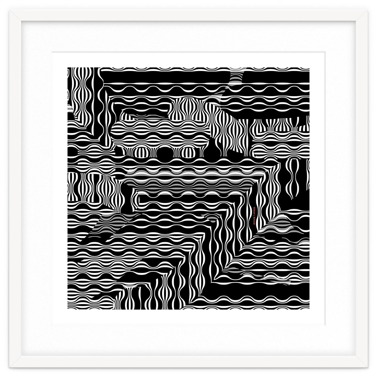 BLACK AND WHITE EXOTIC