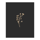 Gold Drops Botanicals (Print Only) thumbnail