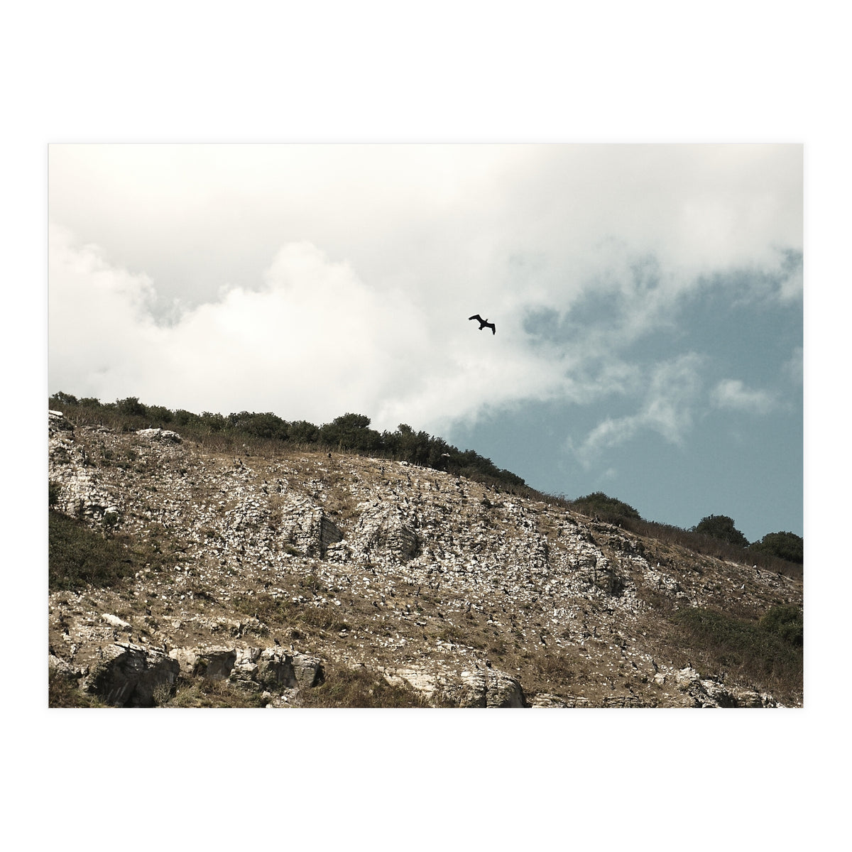 Soar High (Print Only)