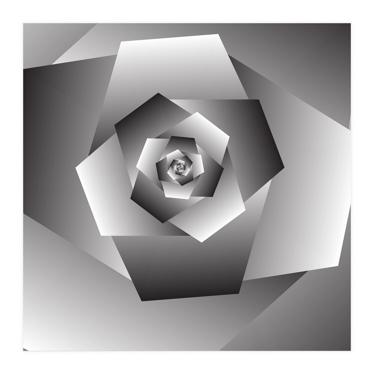 Monochrome Rose Spiral  (Print Only)