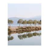Mirror (Print Only) thumbnail