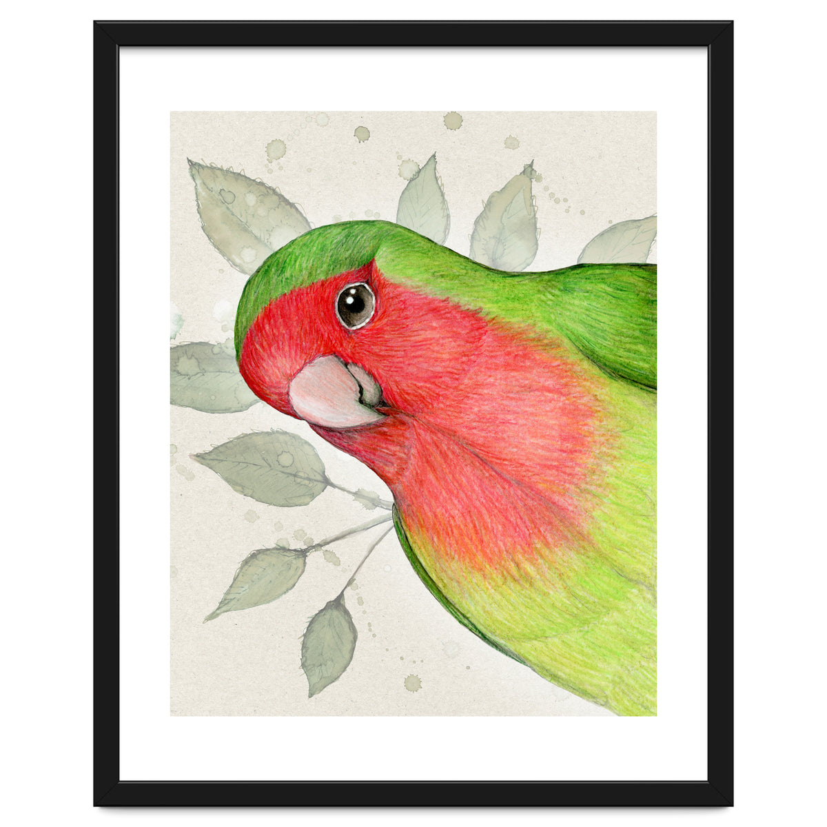 Curious lovebird