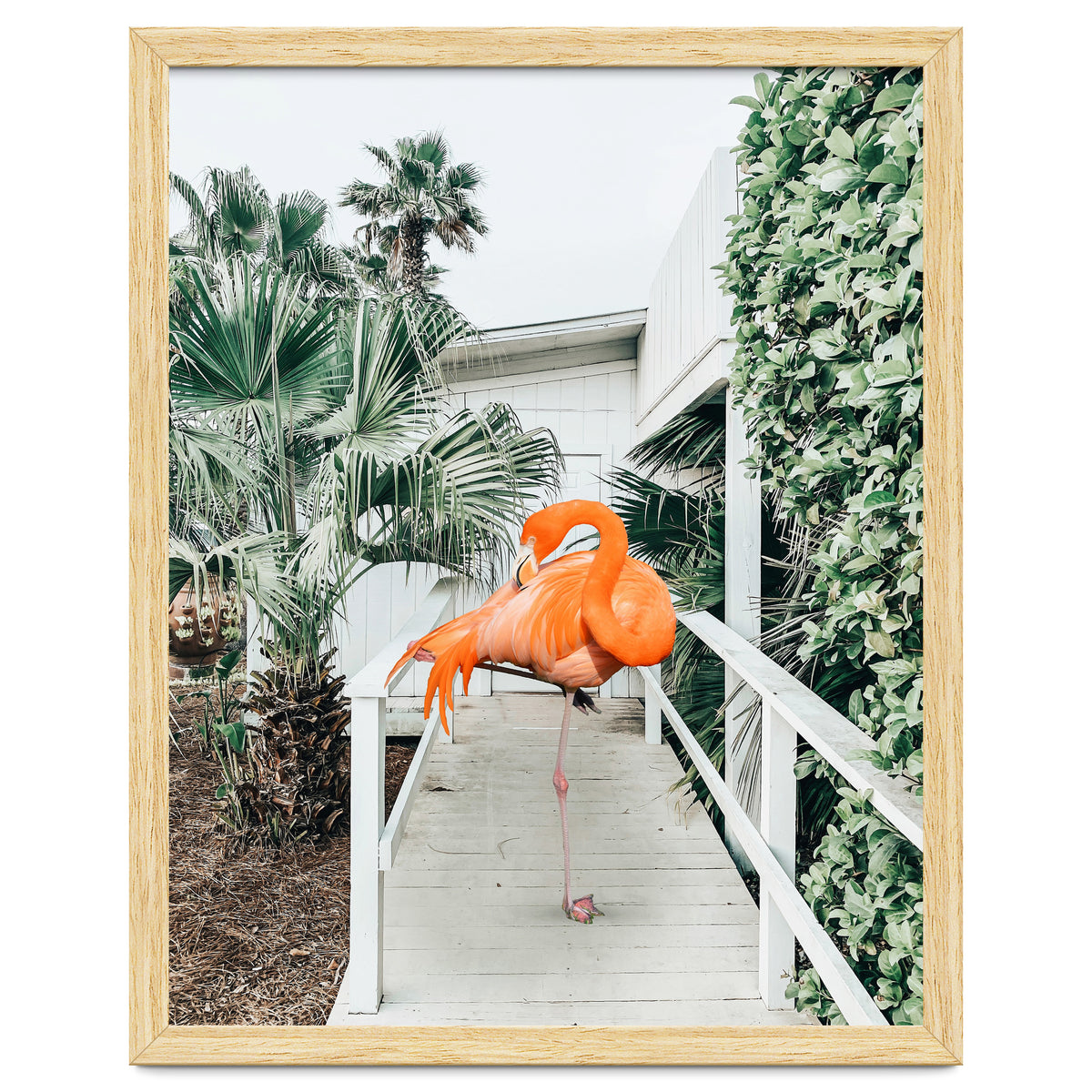 Flamingo Beach House