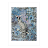 Jungle Cockatoo Blue (Print Only) thumbnail