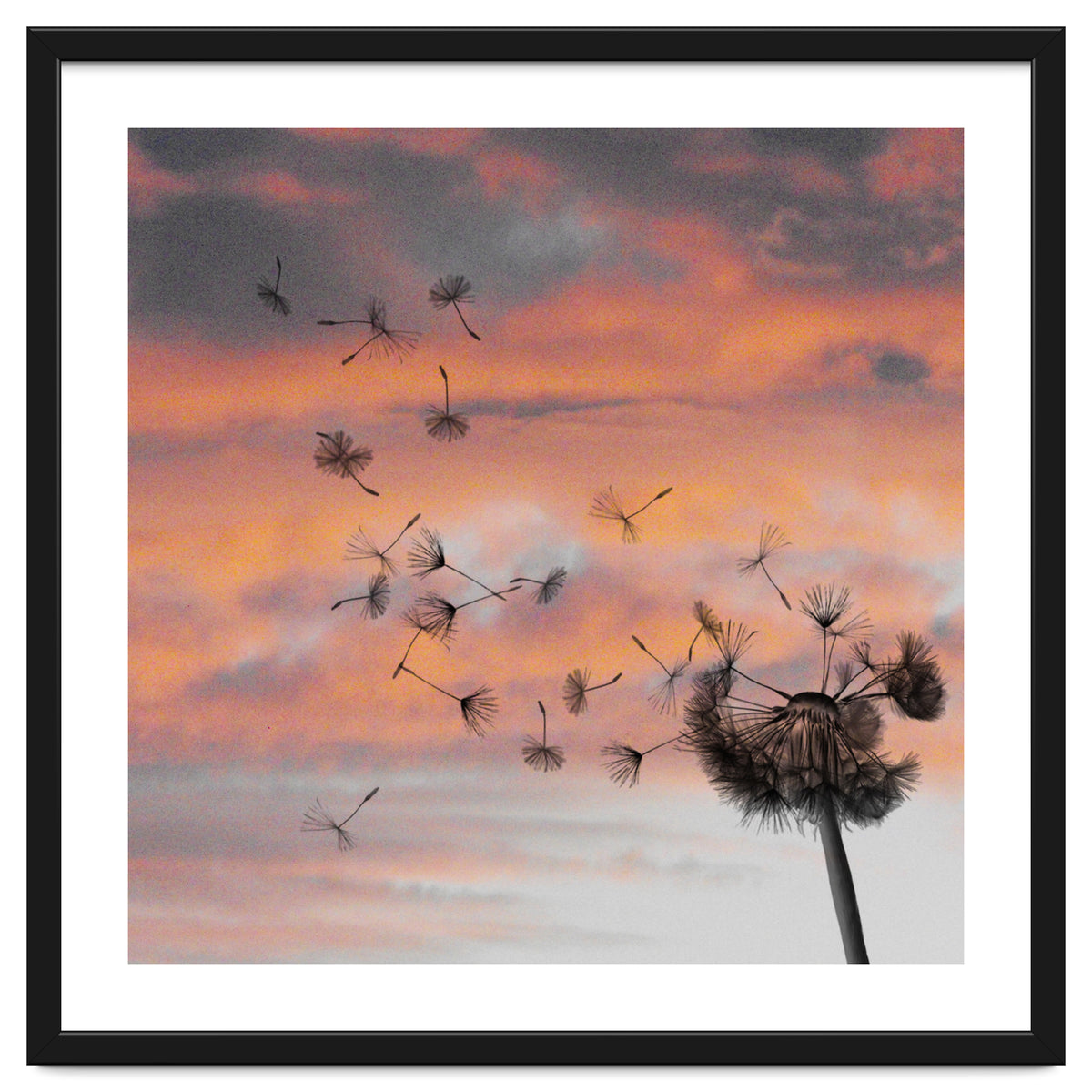 And The Days Went By