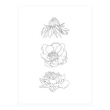 Hand Drawn Flowers (Print Only) thumbnail