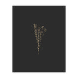 Moody Golden Botanicals (Print Only) thumbnail