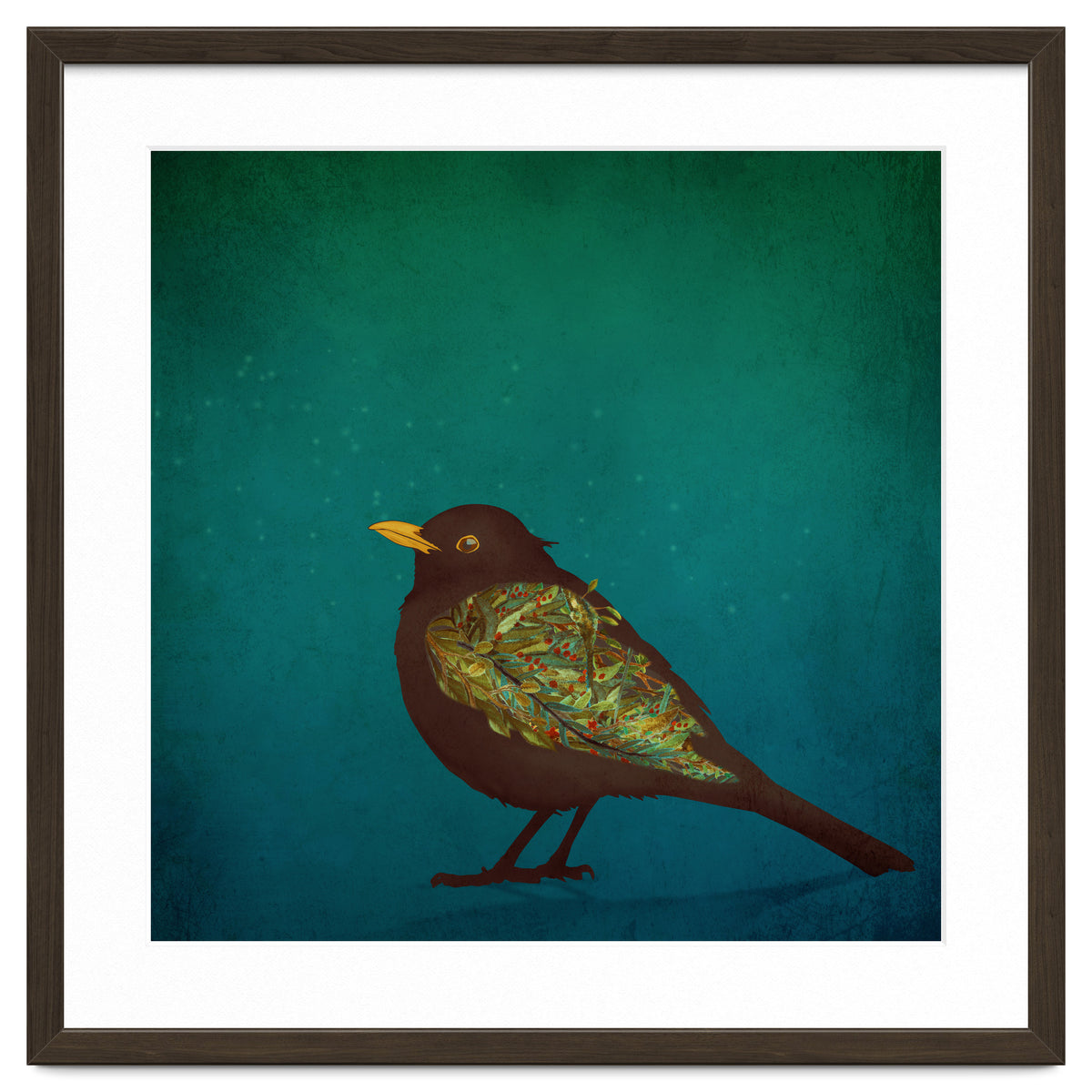 Camouflage: The Blackbird