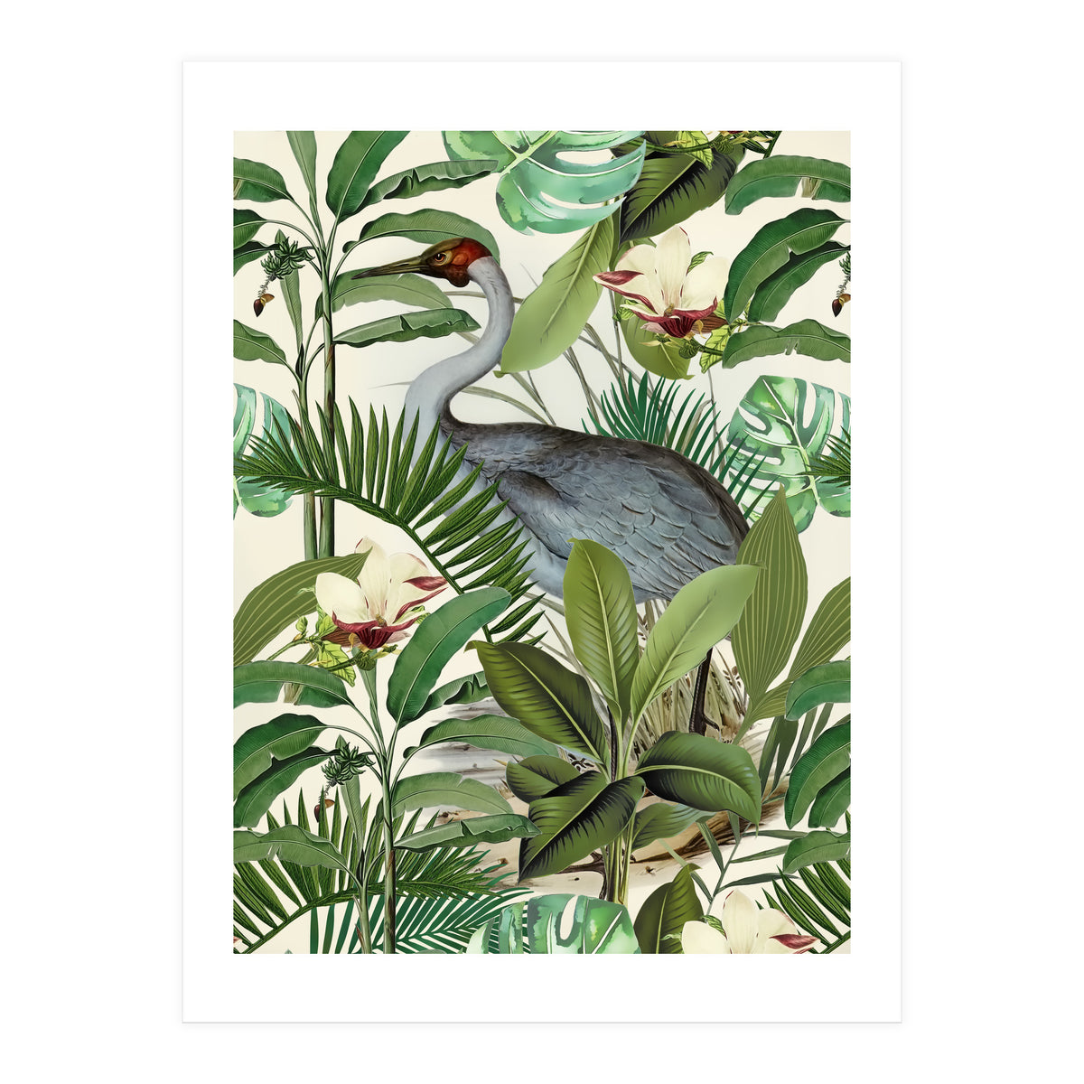 Tropical Heron (Print Only)