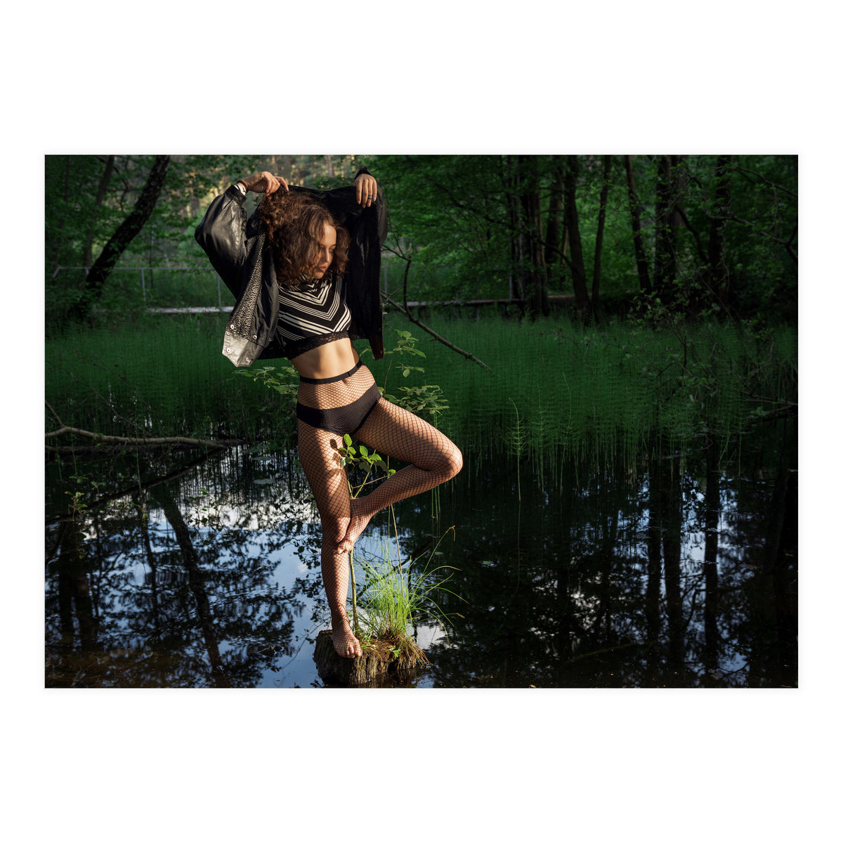 Black Swan (Print Only)