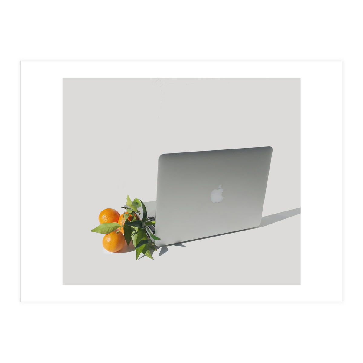 Fruit Salad (Print Only)