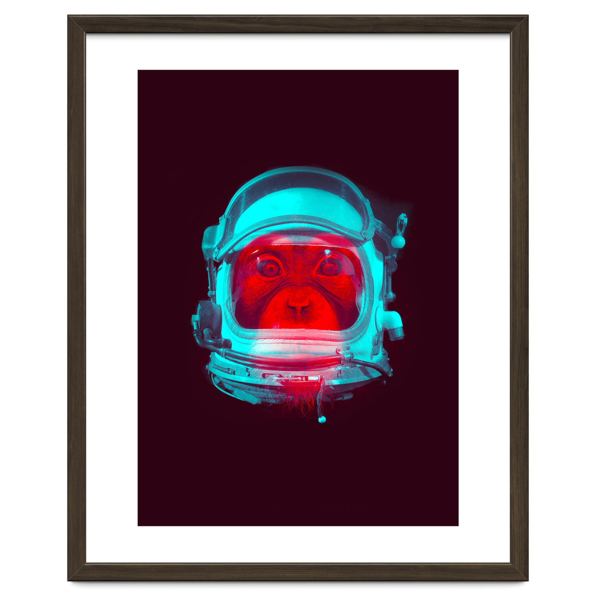 Astronaut