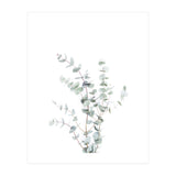 Eucalyptus Branch (Print Only) thumbnail