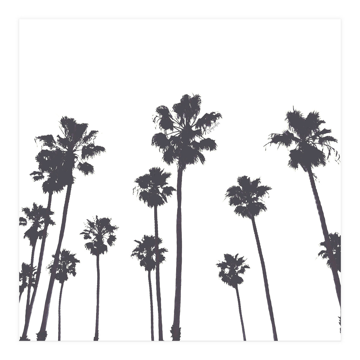 Palms & Sunset-Minimal B&W (Print Only)