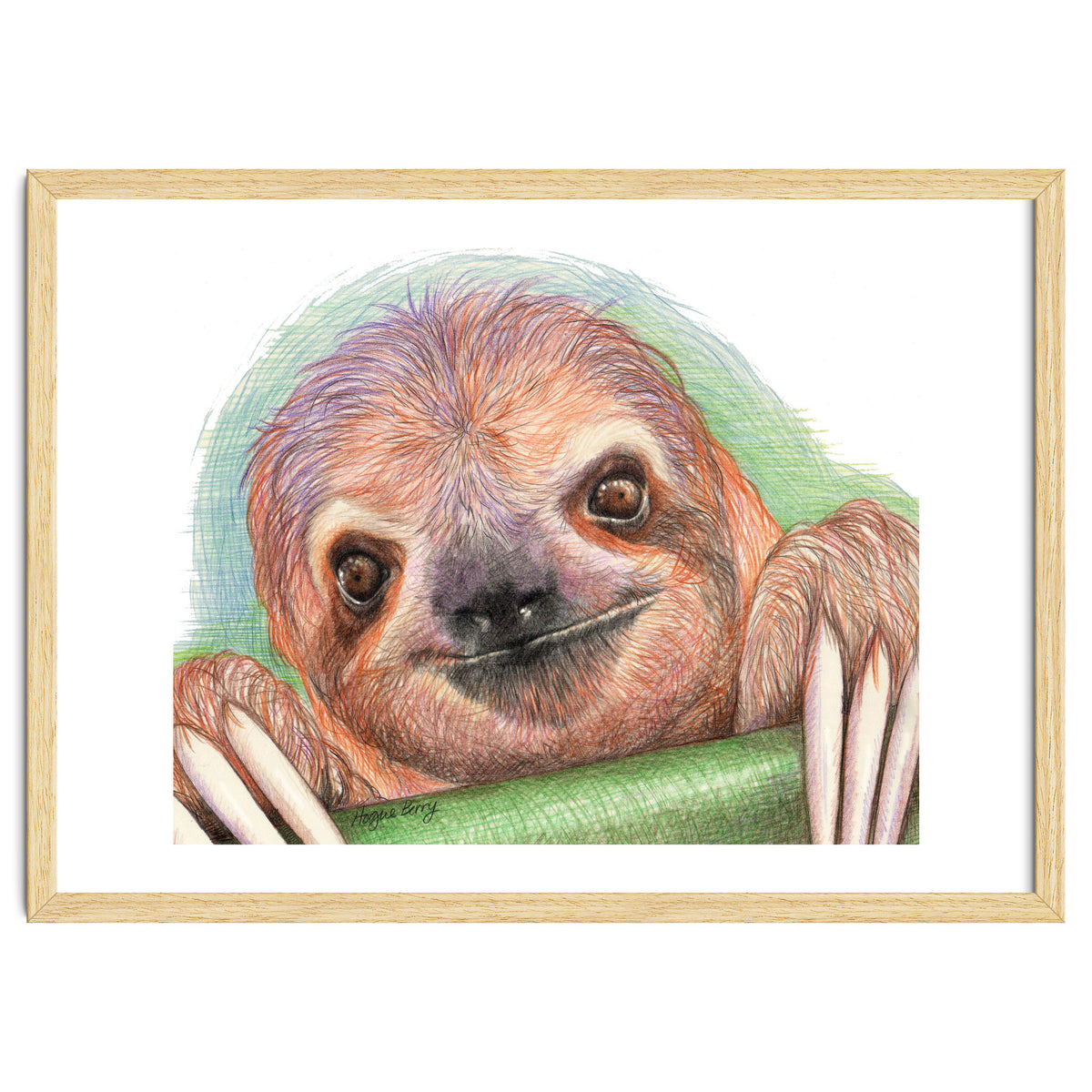 Smiling Sloth