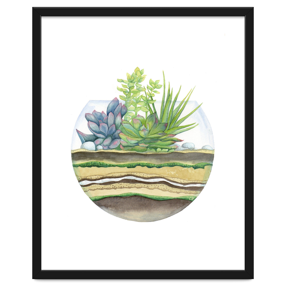 A Little Green Terrarium