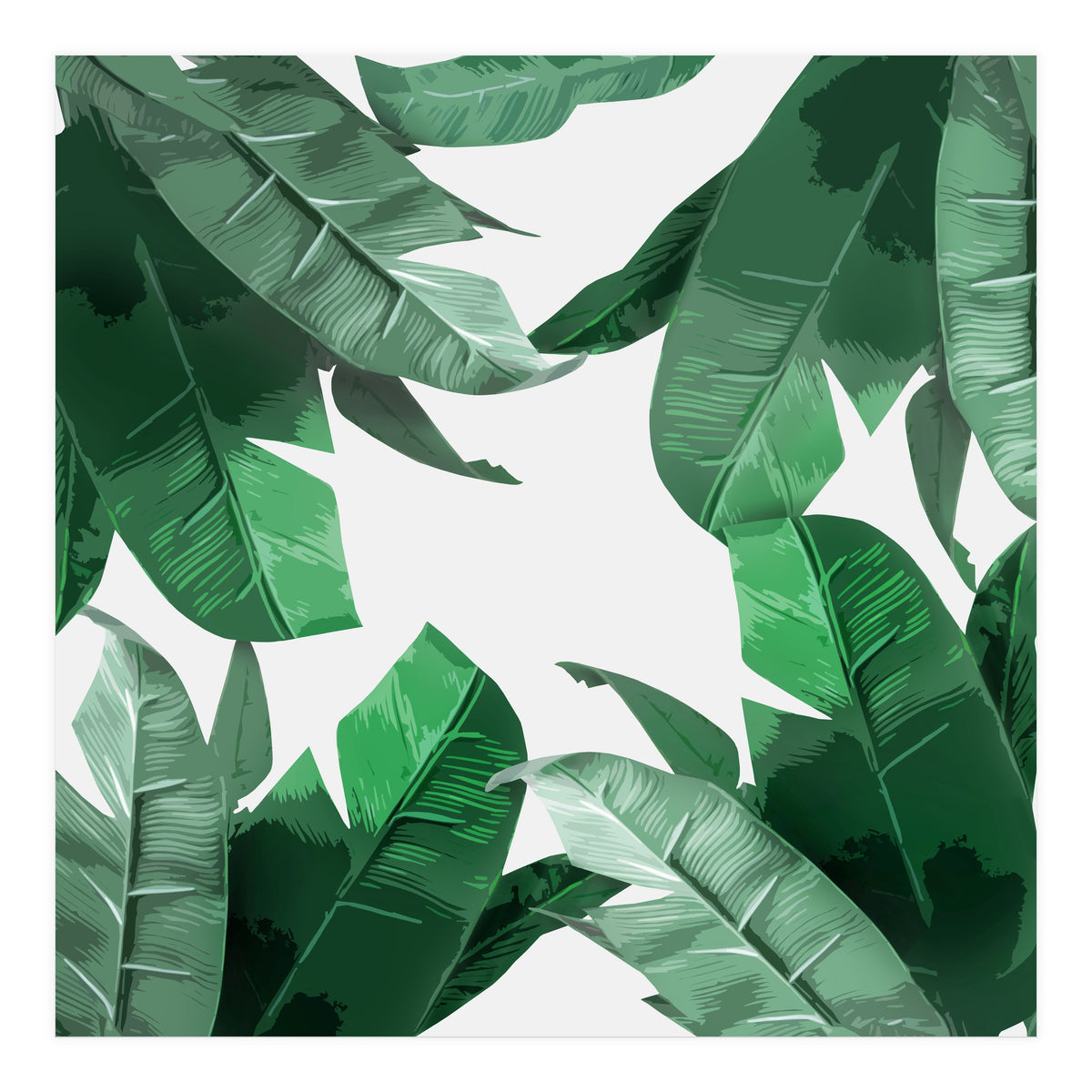 Tropical Palm Print (Print Only)