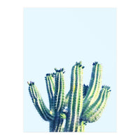 Cactus (Print Only)