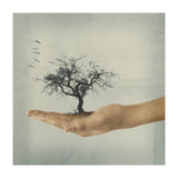 Its All In Your Mind (Print Only) thumbnail