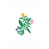 Wild Flower small (Print Only) thumbnail