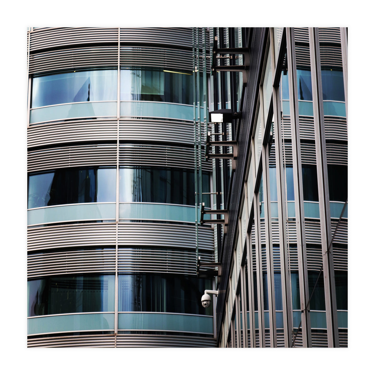 6 Cf467 D9 F110 4 A56 9921 664 C5677 F5 B9 (Print Only)