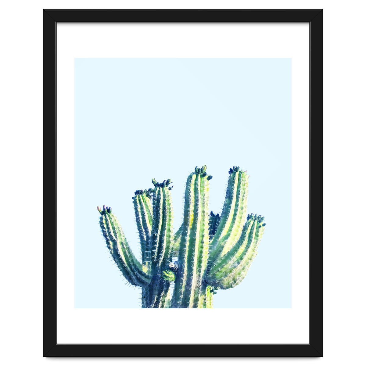 Cactus